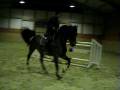 videos de Akteur --- www.KS-Sportpferde.de