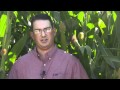 Find Out What Challenges Face This Family Farmer 