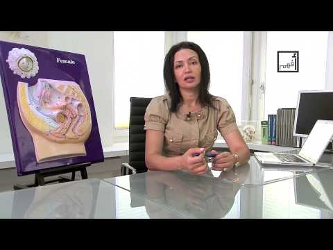 how to prepare for a trip to the gynecologist
