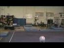 scotts-2008-iowa-floor-exercise.html