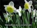 Daffodils - William Wordsworth