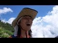 白馬岳のお花畑がとっても綺麗 | Beautiful Alpine Meadows
