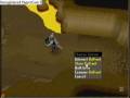Slaying Phoenix