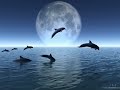 LIORA--WORLD HARMONICS SOUND HEALING