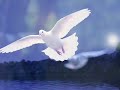 liora  world harmonics sound healing