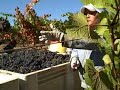 Inman Family Harvest at Thorn Ridge 2008