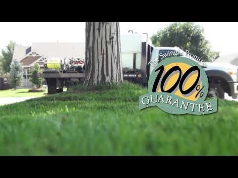 how to fertilize newly planted trees