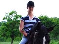 Ein Film f�r mein Pferd!