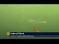 Swedish Sea Monster Caught on Film