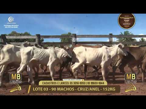 11� LEIL�O FAM�LIA LUCIANO DUARTE E CONVIDADOS