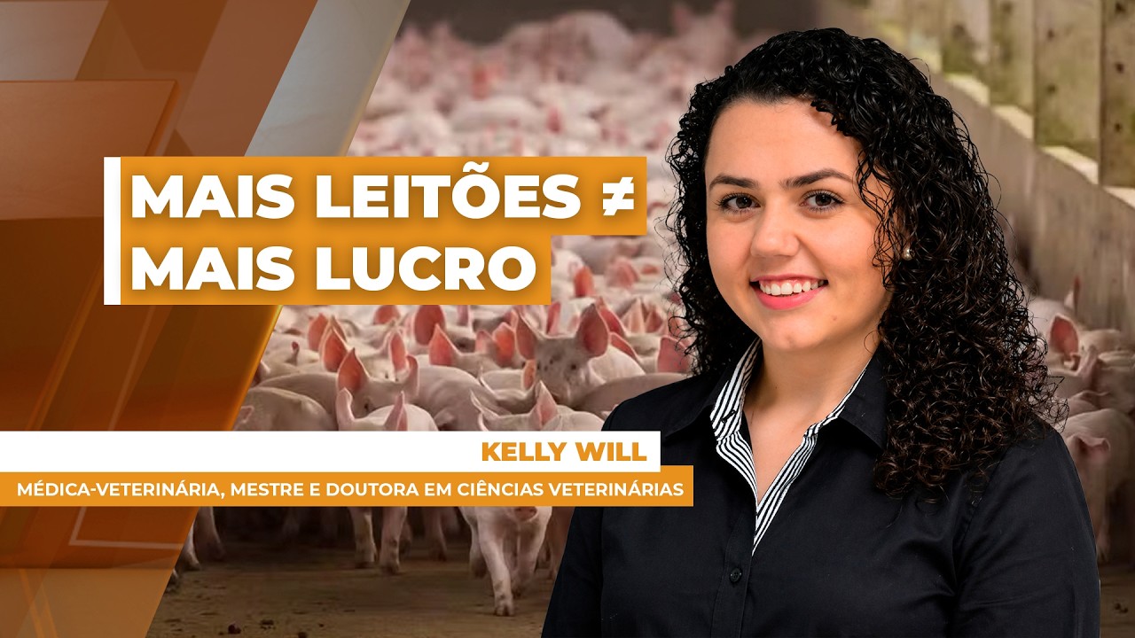 MAIS LEITÕES ≠ MAIS LUCRO - EDIÇÃO 30-04-2026