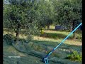 Making Dell'Orto Extra Virgin Olive Oil - Part 1 of 3