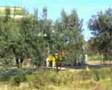 Making Dell'Orto Extra Virgin Olive Oil - Part 1 of 3