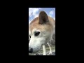 2019年3月28日 川遊び