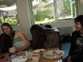 Die Schweden sinnda!!!