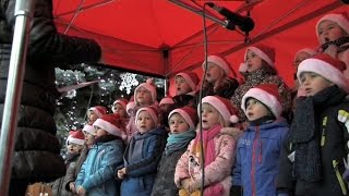 Pod vánočním stromem se koledovalo