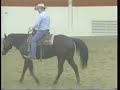 This video discusses the lope and execution of lead changes on a western horse. It is part of the Fundamental Training of a Horse video. In this set of videos, basic ground work, longing and handling methods are demonstrated, as well as numerous suppling and basic training maneuvers are shown to develop quiet, broke horses. Presenters: Gary Stauffer and Monte Stauffer, UNL Extension Educators This presentation was given at the 2007 Equestrian Academy at the University of Nebraska-Lincoln. For more horse information, visit www.extension.org/horses!