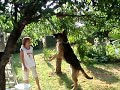 Njema?ki ov?ar