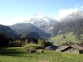 Sindhu & Lokesha: Switzerland trip - 05