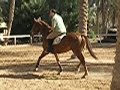 Saad Al Adhami Riding 2