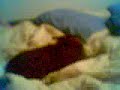 Dog Pranks Dog Pranks