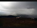 Bukkene Bruse - Til S�tersdal