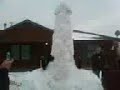 Snow Dick