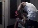 B.G.M. TELEVISION, GUNIT, DUMOUT, MAZARADI FOX, ELDORADO RED
