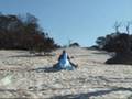 videos de DOLPHIN ON SNOW HOLIDAY