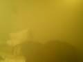 videos de FOGGED OUT haha what up