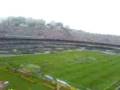 TORCIDA INDEPENDENTE TRI CO LOR.... BRASILEIRO 2008