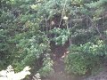zipline-blues.html