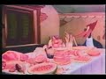 Pantry Panic (Woody Woodpecker)