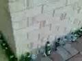 videos de Beer Wall