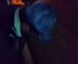 videos de miguel estrada bomita