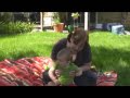 Ashley and Conor chat on the blanket
