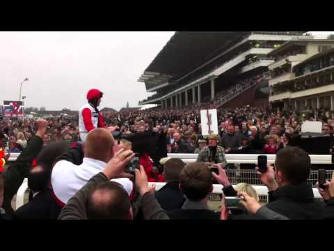 cheltenham gold cup