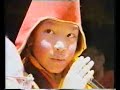 pequena biografia de s s  17° karmapa