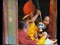 pequena biografia de s s  17° karmapa