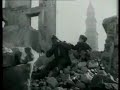 Tammurriata-Nera-Nuo