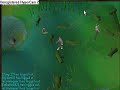 collecting mort myre fungi for runescape