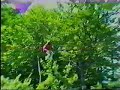 amateur paragliding accidents