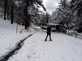 Snowplowing Wheelchair Snowplowing Wheelchair
