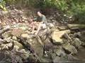 the plastic vortex AKA great eastern garbage patch