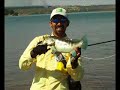Clique para assistir - OCELOS FlyFishing Tucunaré-azul no Lagoa
