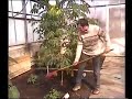 Jardin et loisirs partie 1 (soir1)