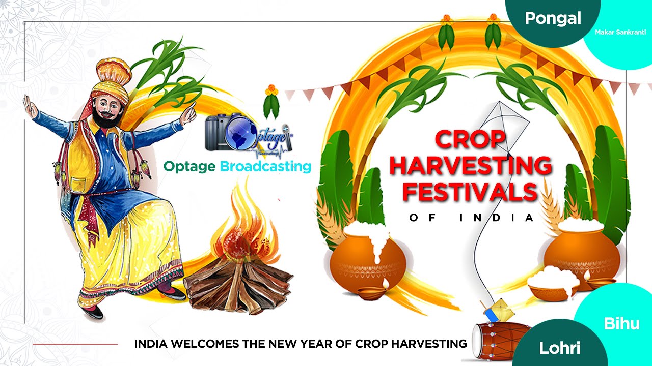 Everything You Need To Know About Makarsankranti & Pongal: Traditions | 2023