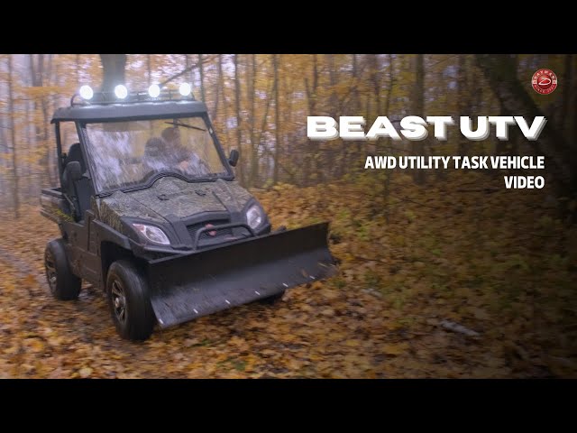 THE BEAST UTV - FULLY ELECTRIC UTV in ATVs in City of Toronto