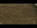 videos de Red Bull X-Fighters Warsaw 08 - Reopening X-Lecia