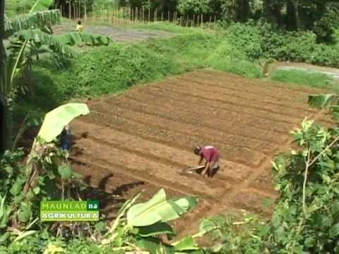 Costales Nature Farms featured in Maunlad na Agrikultura.mpg